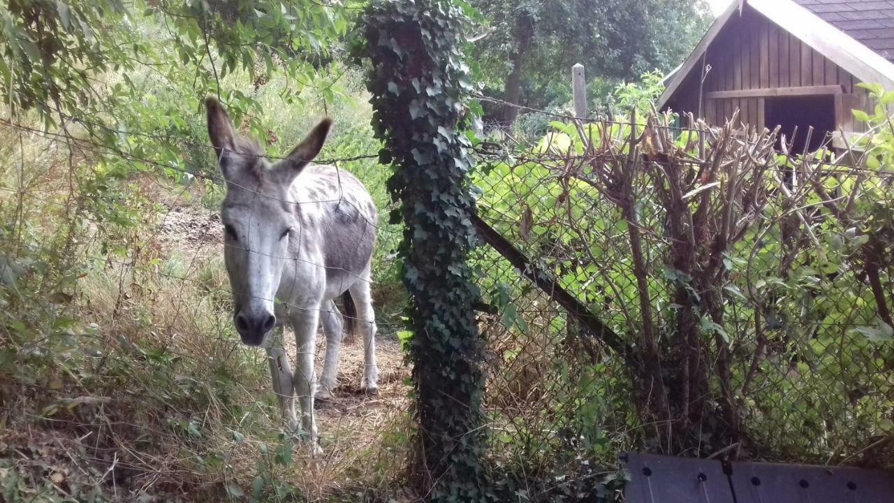 Hébergement de vacances De Campagne